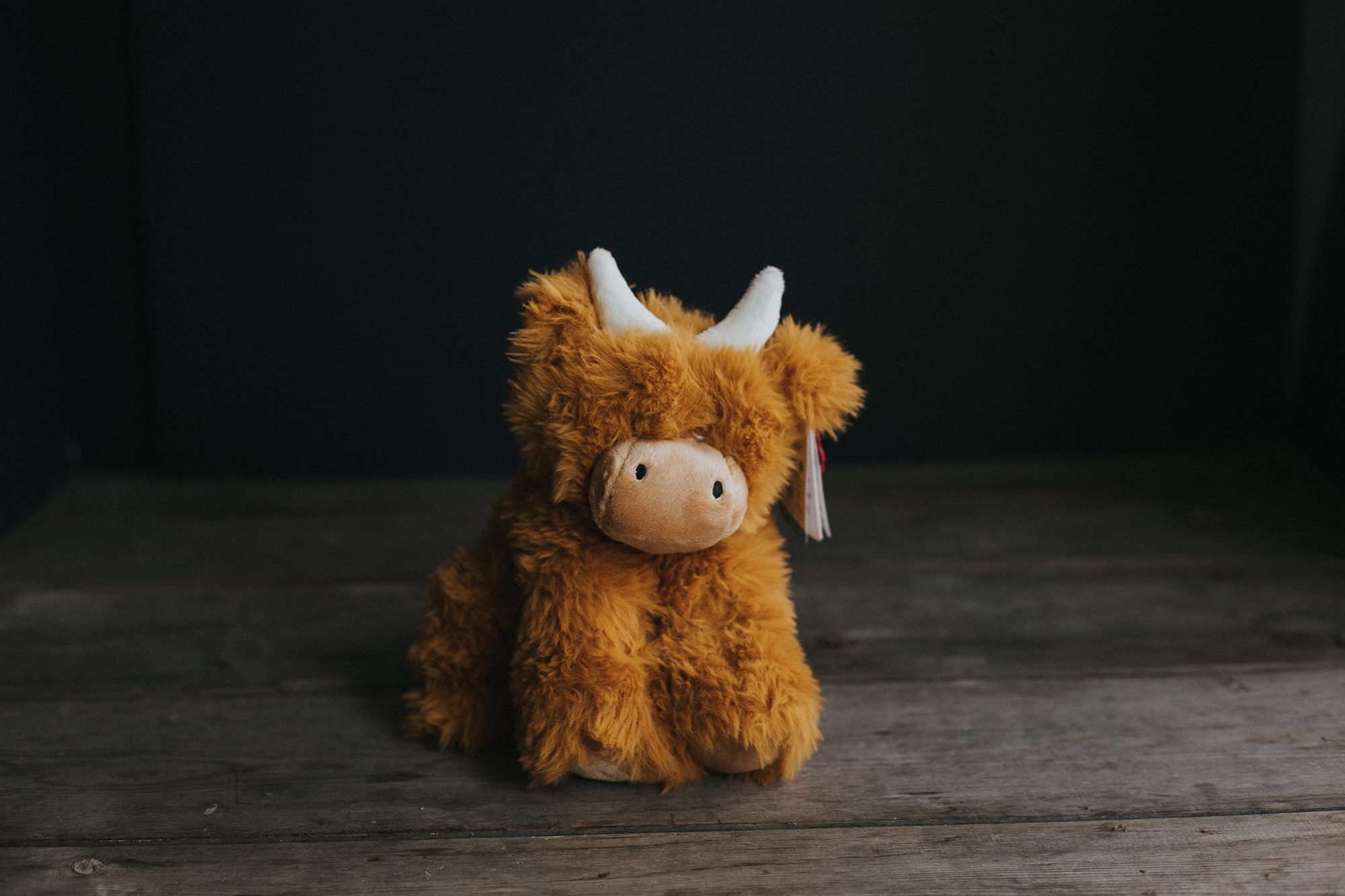 Highland Cow Toy Small (20cm)