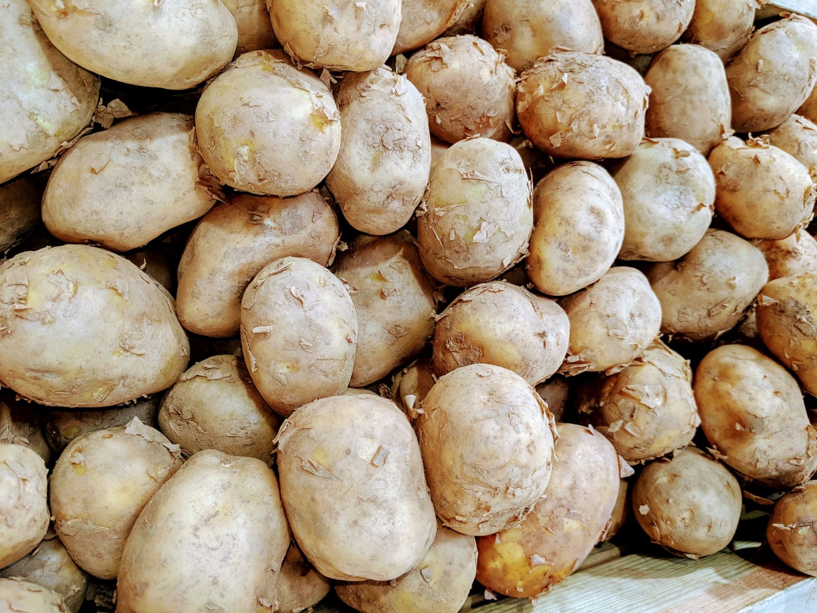 Daisy Potatoes - 1kg