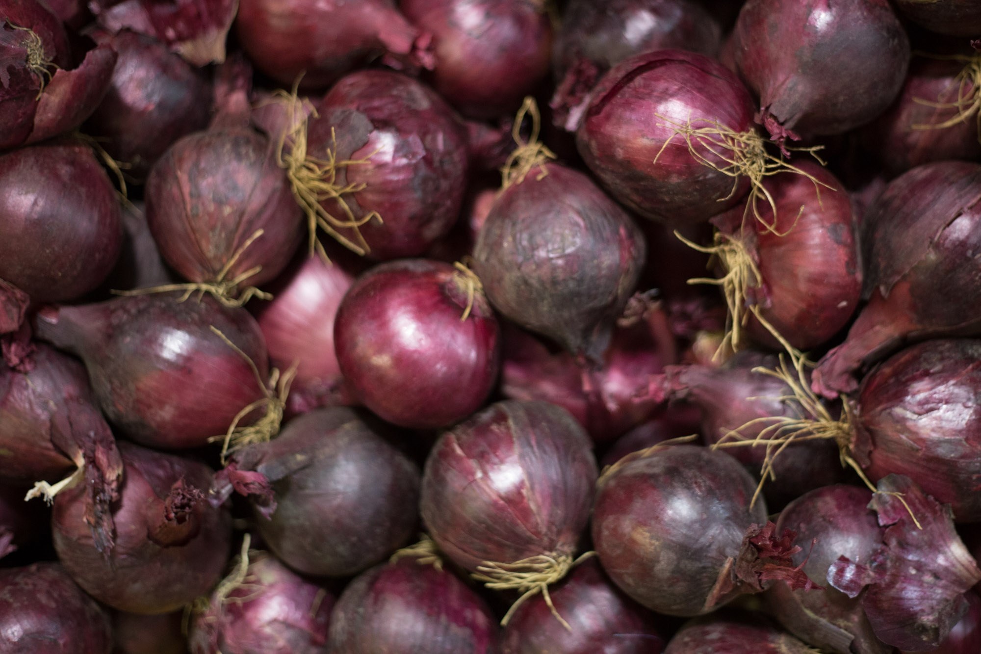 Red Onions (1kg)