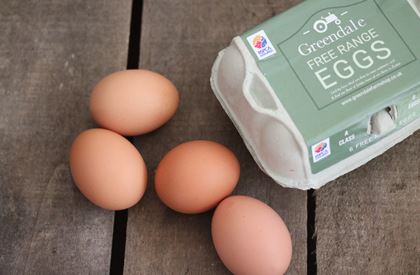 Greendale Free Range Eggs Very Large