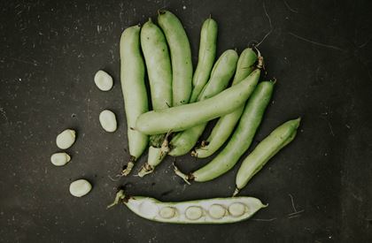 Broad Beans 500g