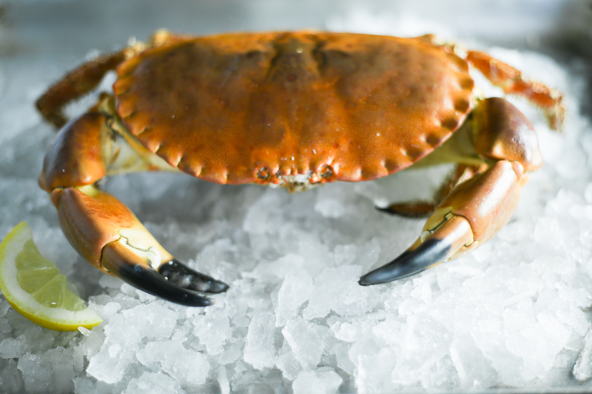 crab game boxes