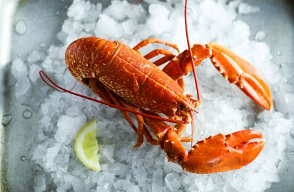 Cooked Locally Caught Lobster - 500g