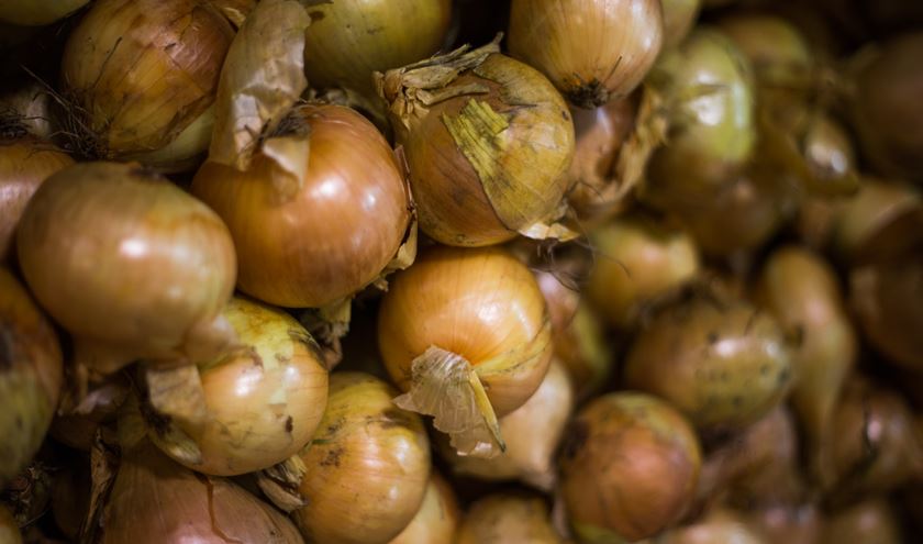White Onions | Greendale Farm Shop