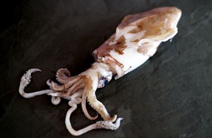 Squid - 400g (Cleaned)