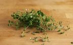 Thyme (Pre-Packed)