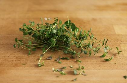 Thyme (Pre-Packed)