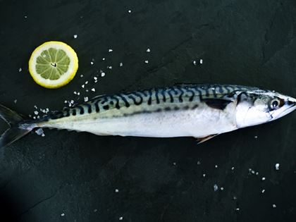 Locally Caught Mackerel image