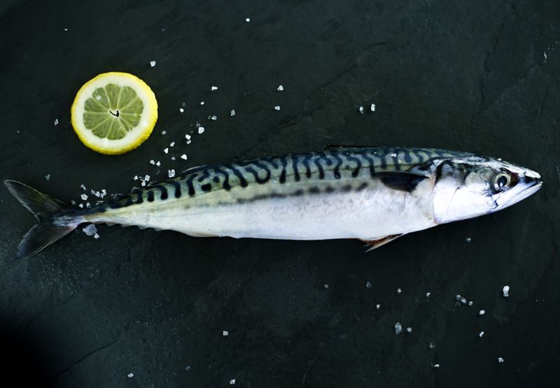 Locally Caught Mackerel