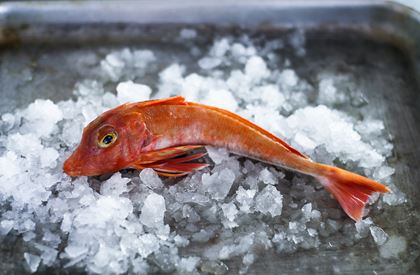 Fragrant Baked Gurnard Parcels