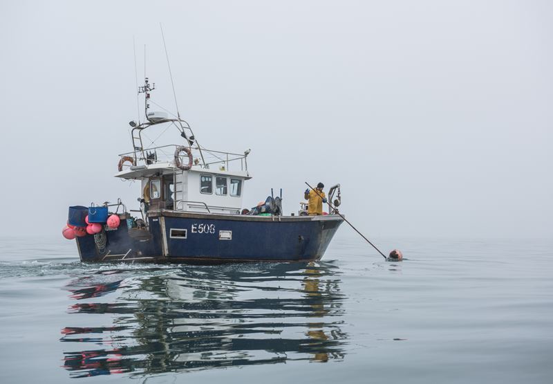 From Boat to Plate - The Catch