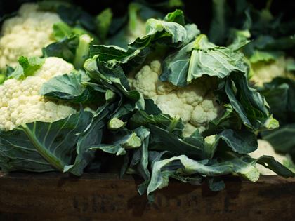Michael Caines Cauliflower Puree Recipe image