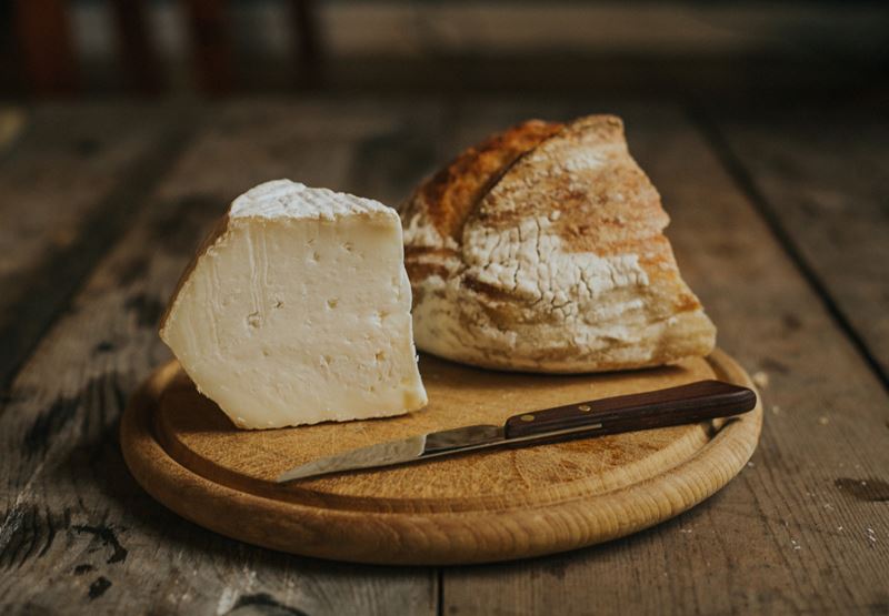 Vegetarian-friendly cheeses