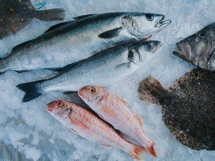 A Greendale Guide to Buying Fresh Fish image